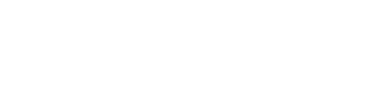 Teague Nelson Logo